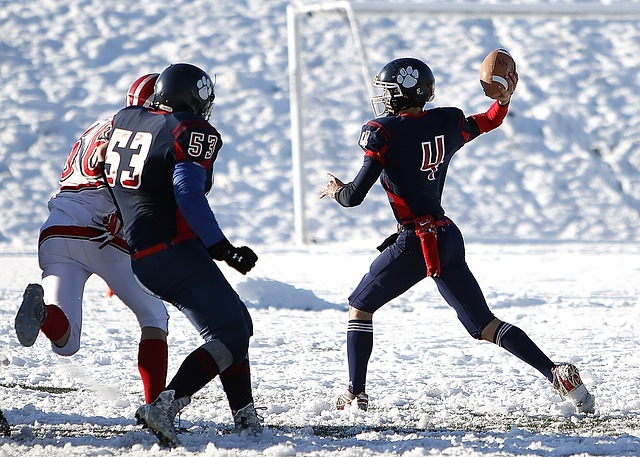 拜仁再度横扫对手，领先德甲积分榜