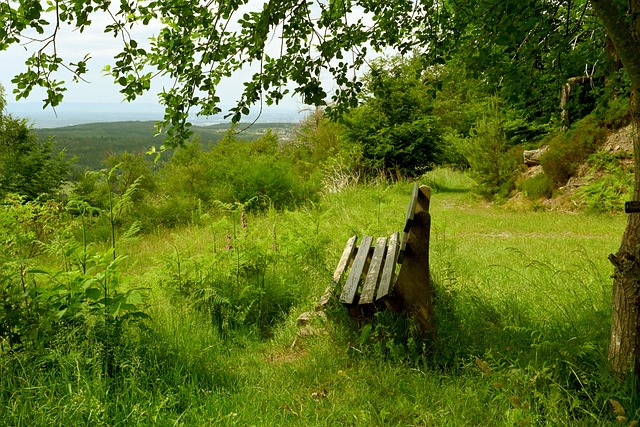 队记：恩比德&乔治对阵湖人都升级为大概率出战